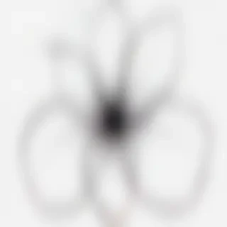 transparent flower outline