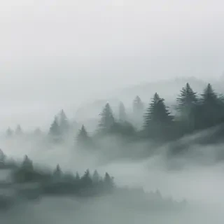 fog transparent background