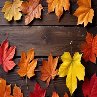 autumn leaves iphone wallpaper