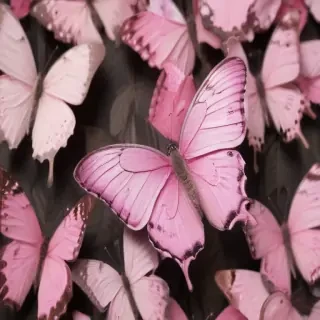 pink butterflies aesthetic