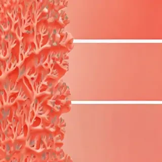 coral color