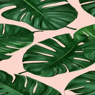 tropical leaf png
