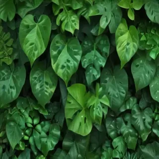 background green leaves
