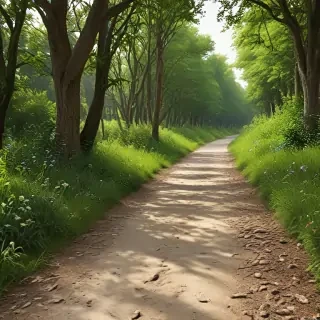 path png