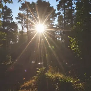 lens flare