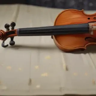 violin png