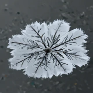 snow transparent