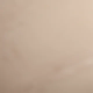 classy neutral iphone wallpaper