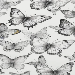drawing butterflies