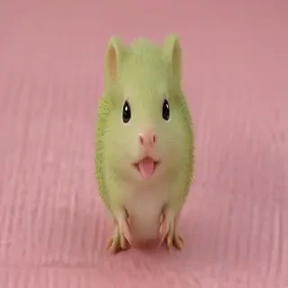 squeal