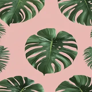 aesthetic monstera wallpaper