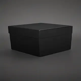 black box image