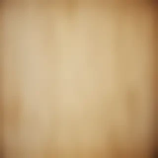 grunge paper texture