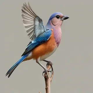 bird transparent