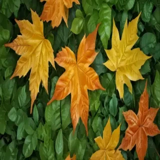 leaf backgrounds