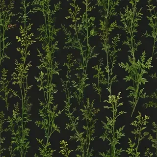 weeds png