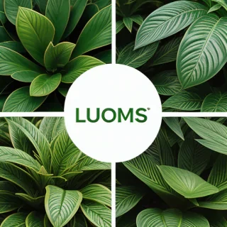 zoom backgrounds with plants