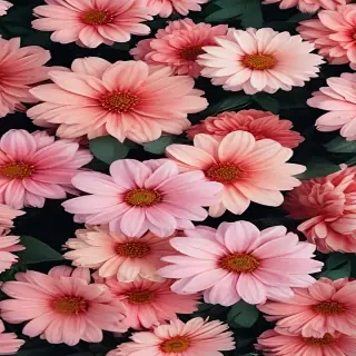 flower aesthetic wallpapers