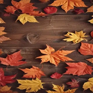 iphone wallpaper fall