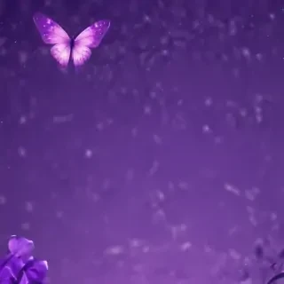 cute purple wallpaper for iphone