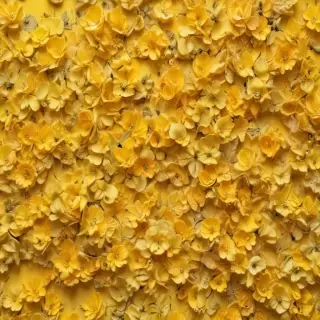 yellow aesthetic background