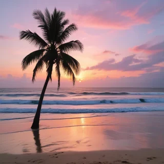aesthetic beach pictures
