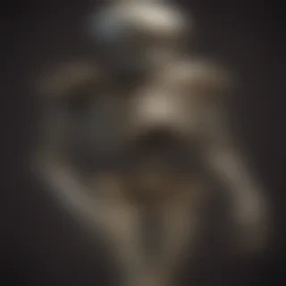 skelton png