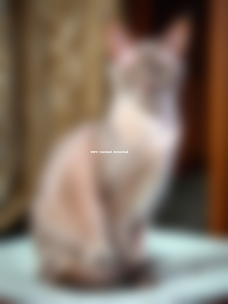 oriental longhair cat breed