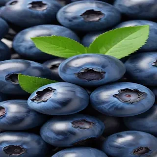 blueberry png