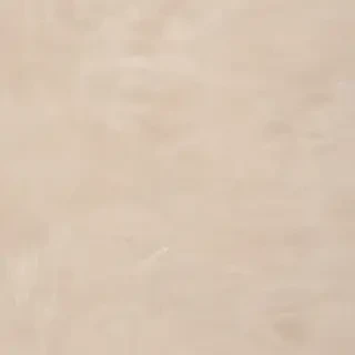 neutral colors background