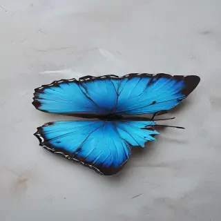 aesthetic blue butterfly