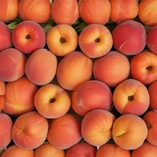 peaches background