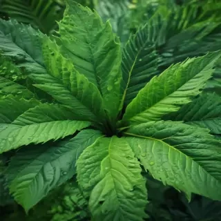 green iphone wallpaper