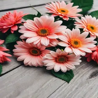 flowers iphone wallpaper