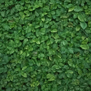 green leaf background