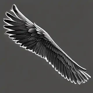 angle wings png