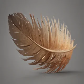 feather png