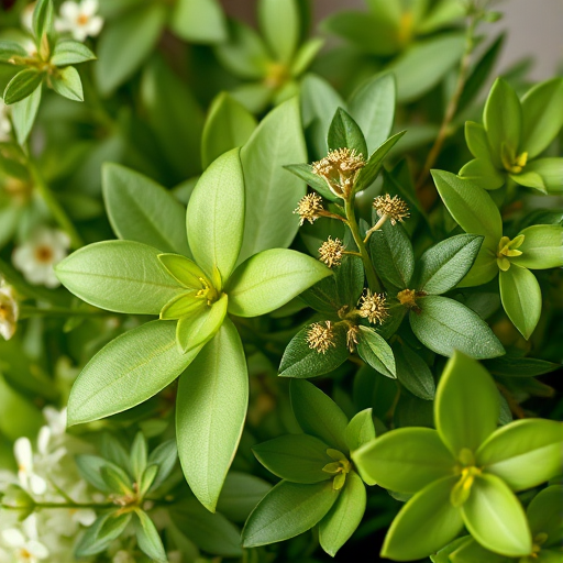 Create a high-resolution image of a floral arrangement featuring various green leaves and delicate foliage, captured with a Canon EOS R5 at f/2.8, ISO 100, 50mm lens, with a soft-focus background and natural light for enhanced vibrancy and clarity.