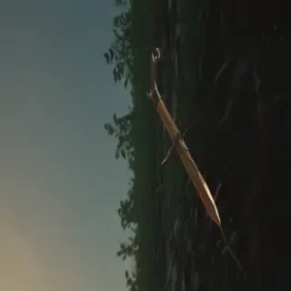 arrow video