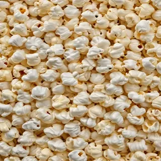 transparent popcorn