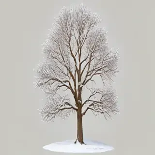 winter tree png