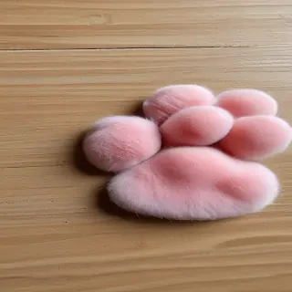 cat paw