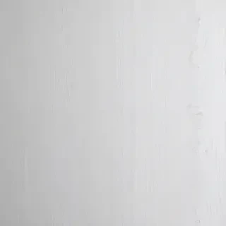 white grey background