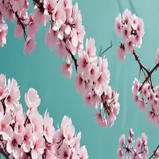 spring aesthetic wallpaper