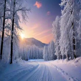 winter wonderland wallpapers