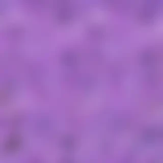 lilac background