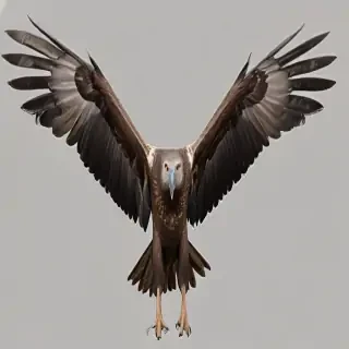 vultures png