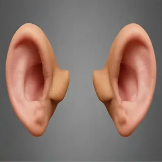 ears png