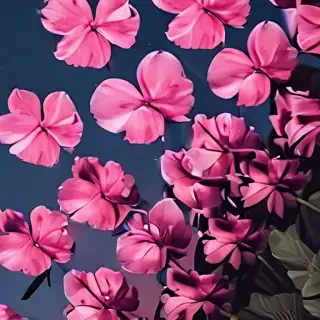 aesthetic iphone wallpaper