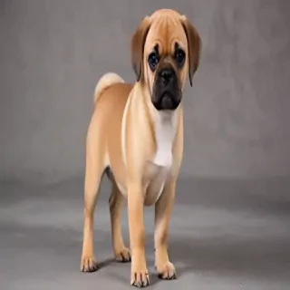 puggle dog breed